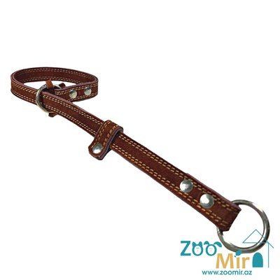 ZooMir, ошейник полу-удавка из нубука, для собак средних пород, 38 см х 20 мм (цвет: коричневый)
