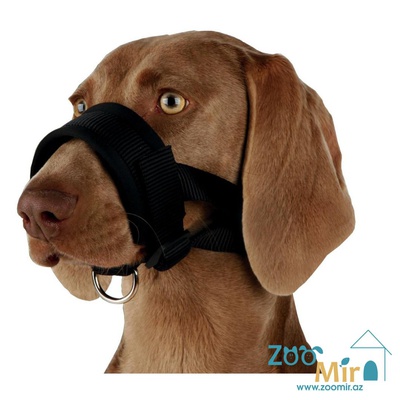 Trixie "Muzzle Loop", намордник регулируемый 20см-30см, для собак средних и крупных пород, размер L-XL, цвет:  черный нейлон