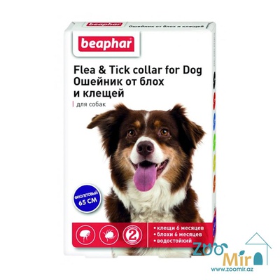 Beaphar Flea&Tick Collar for Dogs, ошейник от блох и клещей для собак, 65 см (фиолетовый)