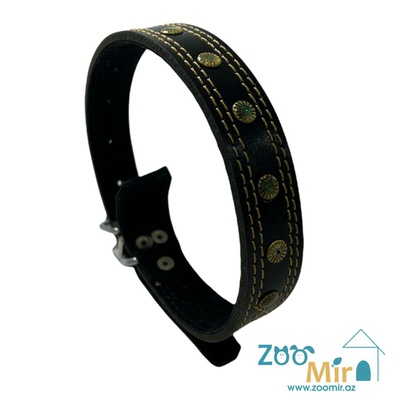 Zoomir, ошейник для средних пород собак, 60 см. (цвет: черный с пистонами)