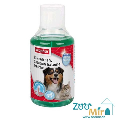 Beaphar Mouth Wash, ополаскиватель полости пасти для кошек и собак, 250 мл