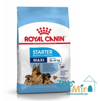 Royal Canin Maxi Starter, сухой корм для собак в период беременности и лактации, а также для щенков до 2-х месячного возраста, на развес (цена за 1 кг)