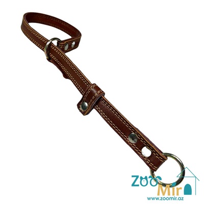 ZooMir, ошейник полу-удавка из кожи, для собак средних пород, 38 см х 20 мм (цвет: темно-коричневый)