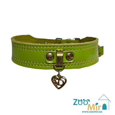 ZooMir, ошейник из кожзаменителя, для собак малых пород, 30 - 38 см х 25 мм (цвет: зеленый)