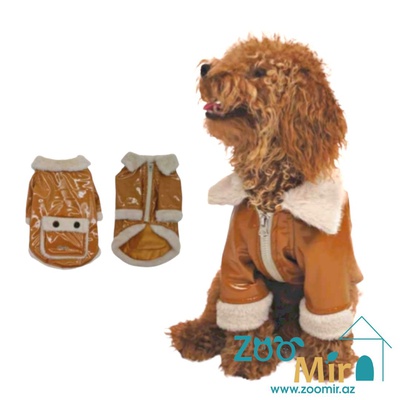 Pawstar Pet Fashion, модель "Camel Clara", утеплённая куртка для собак малых пород, 4,6 - 6,5 кг (размер L)
