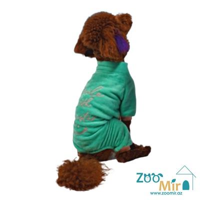 Pawstar Pet Fashion, модель "Green Smile Rompers", флис комбинезон для собак мини пород и кошек, 2,6 - 4,5 кг (размер М)