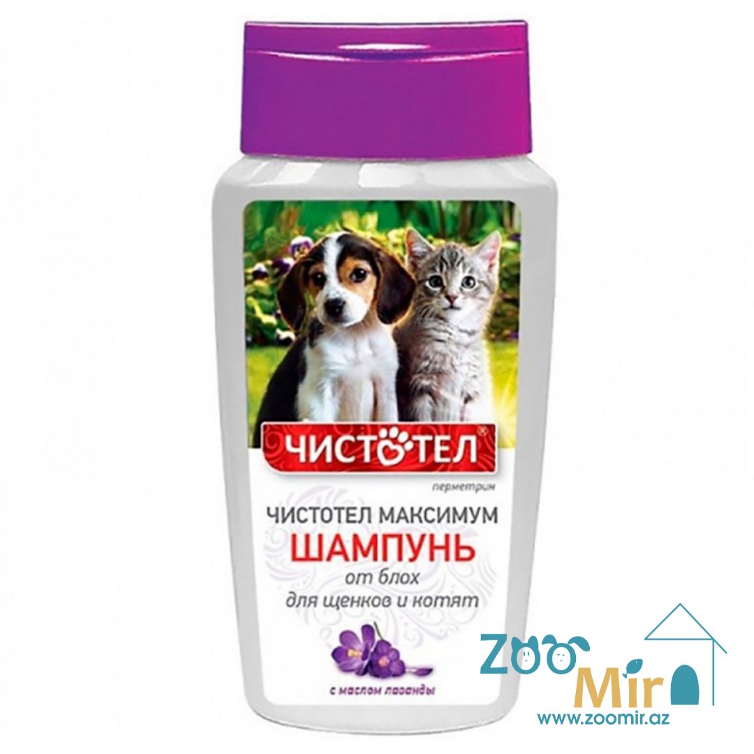 Чистотел, шампунь максимум от блох, для щенков и котят, 180 мл.