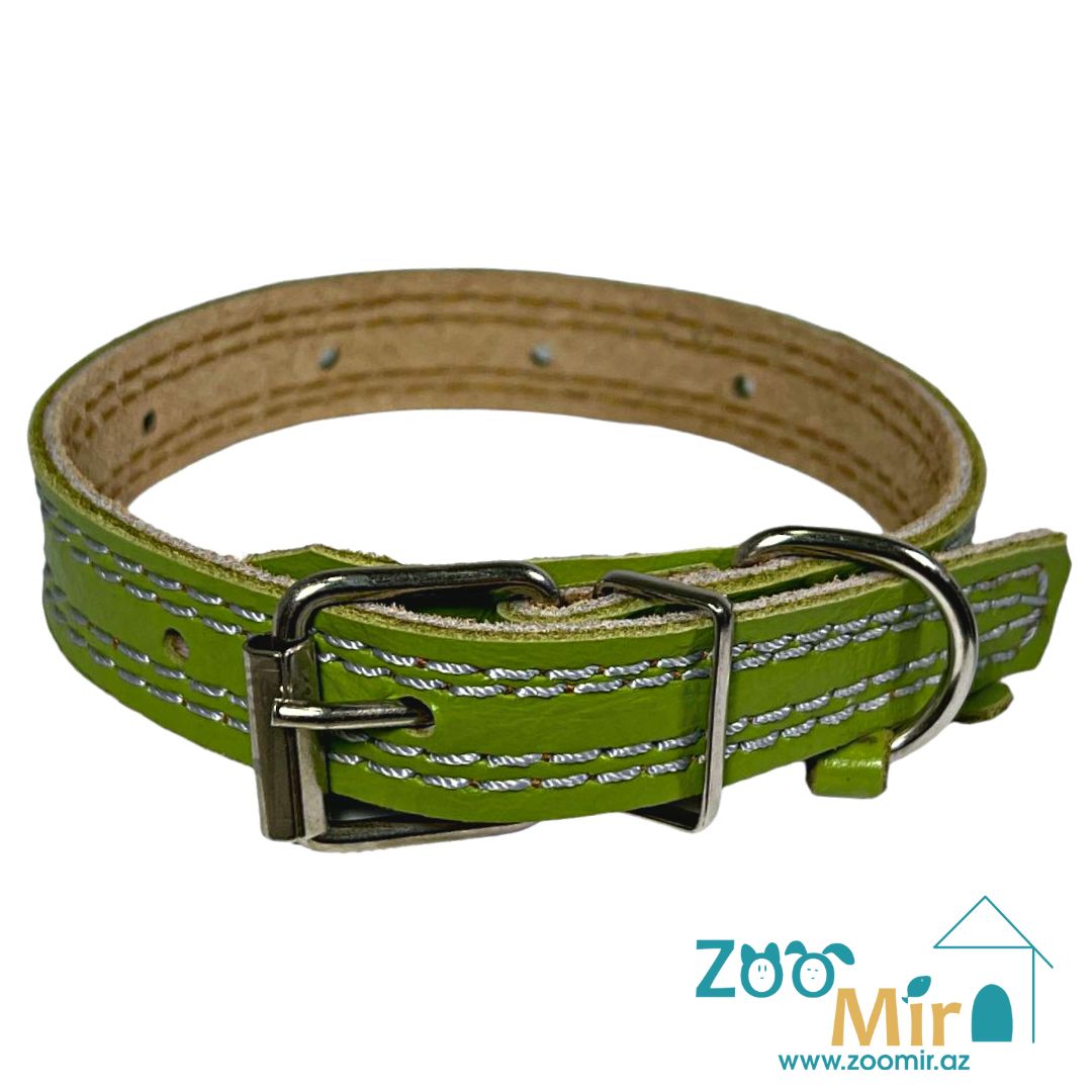 ZooMir, ошейник из кожзаменителя, для собак малых пород, 15 - 29 см х 17 мм (цвет: зеленый)