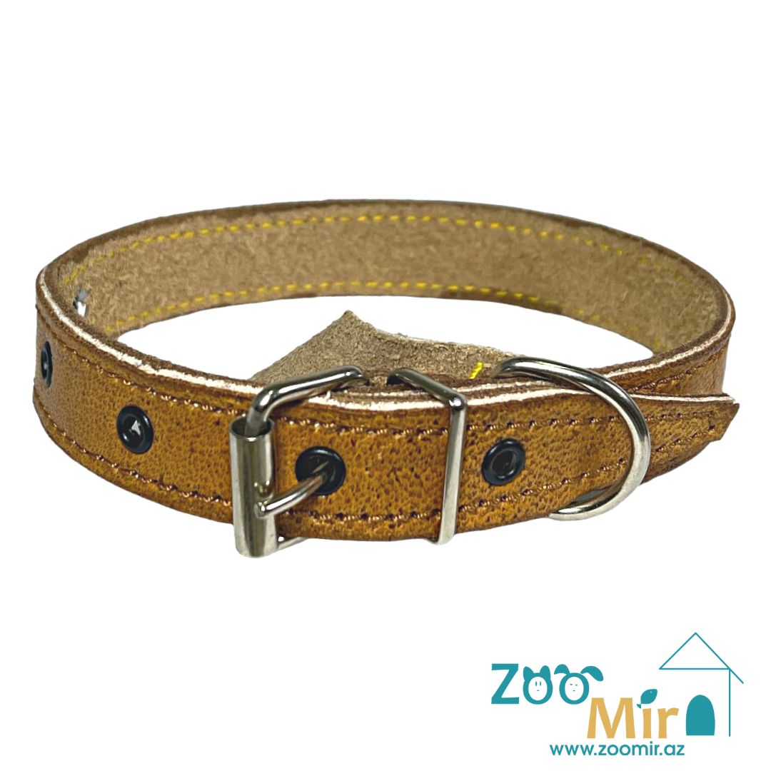 ZooMir, ошейник из кожзаменителя, для собак малых пород, 25 - 34 см х 20 мм (цвет: коричневый)