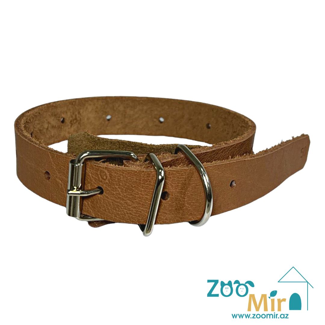 ZooMir, ошейник из кожзаменителя, для собак малых и средних пород, 23 - 40 см х 22 мм (цвет: коричневый)