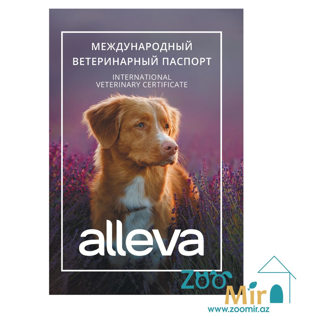 International veterinary certificate, международный ветеринарный паспорт для собак